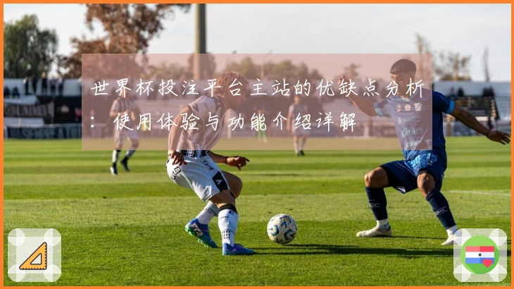 世界杯投注平台主站的优缺点分析：使用体验与功能介绍详解