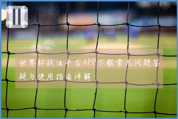 世界杯投注平台APP下载常见问题答疑与使用指南详解