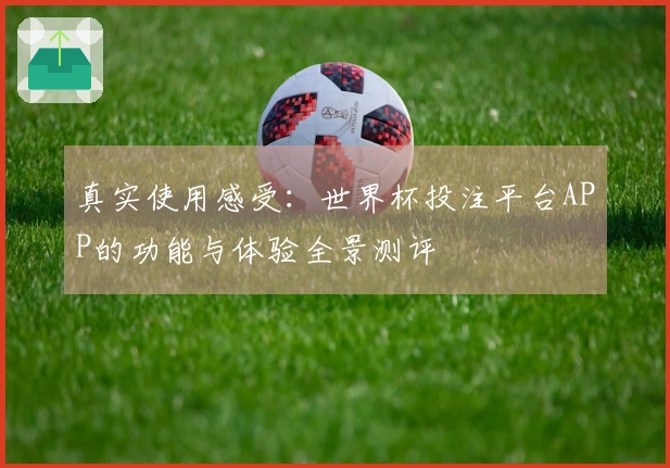真实使用感受：世界杯投注平台APP的功能与体验全景测评