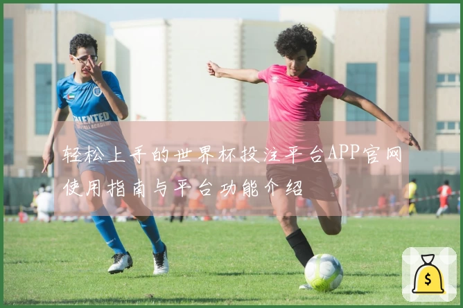 轻松上手的世界杯投注平台APP官网使用指南与平台功能介绍