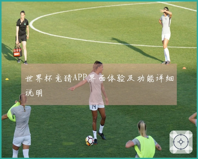 世界杯竞猜APP界面体验及功能详细说明