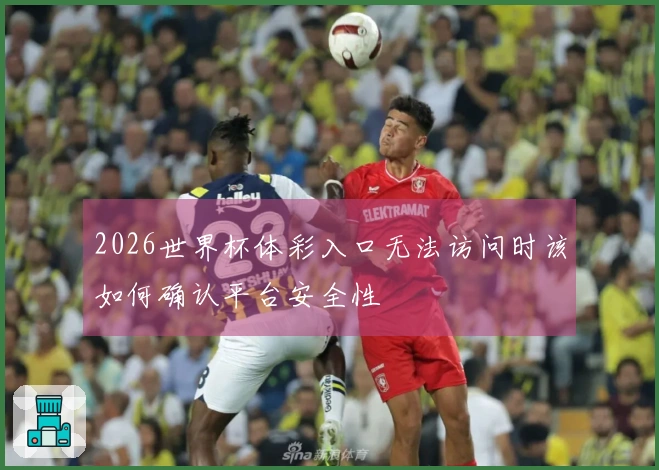 2026世界杯体彩入口无法访问时该如何确认平台安全性