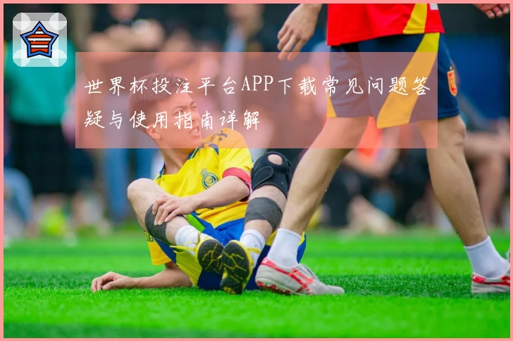 世界杯投注平台APP下载常见问题答疑与使用指南详解