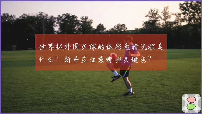 世界杯外围买球的体彩竞猜流程是什么？新手应注意哪些关键点？