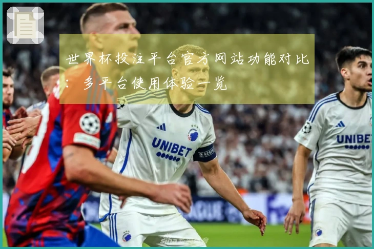 世界杯投注平台官方网站功能对比：多平台使用体验一览