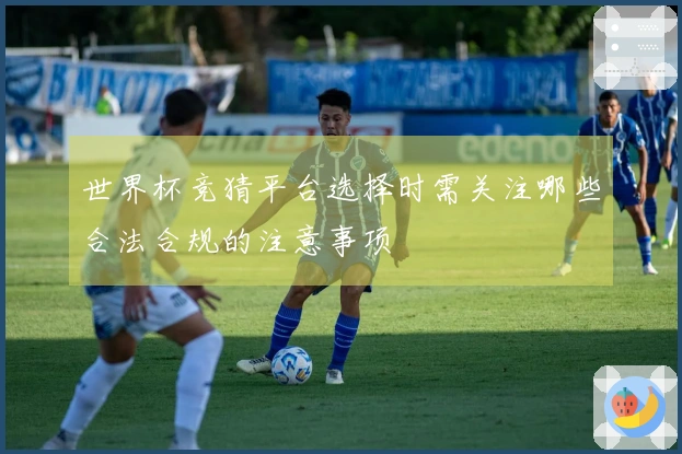世界杯竞猜平台选择时需关注哪些合法合规的注意事项