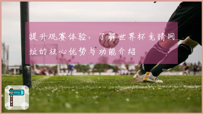 提升观赛体验，了解世界杯竞猜网址的核心优势与功能介绍