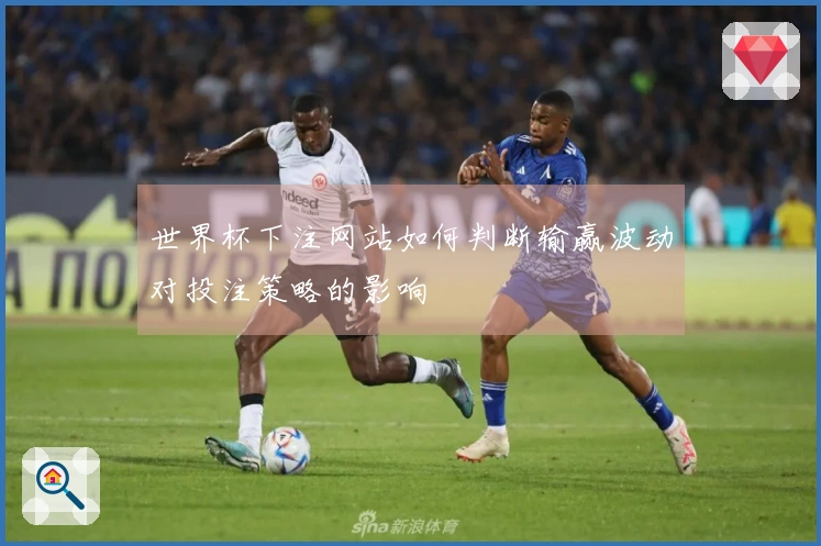 世界杯下注网站如何判断输赢波动对投注策略的影响