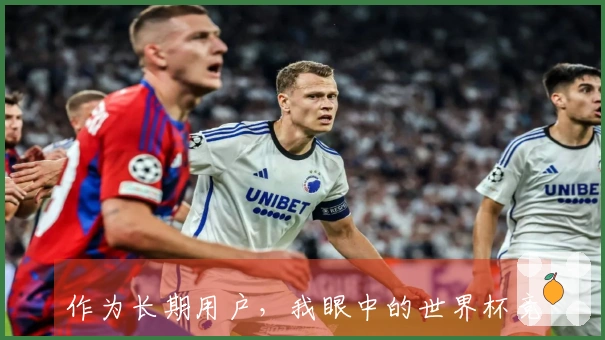 作为长期用户，我眼中的世界杯竞猜网页版使用体验与功能评测分享