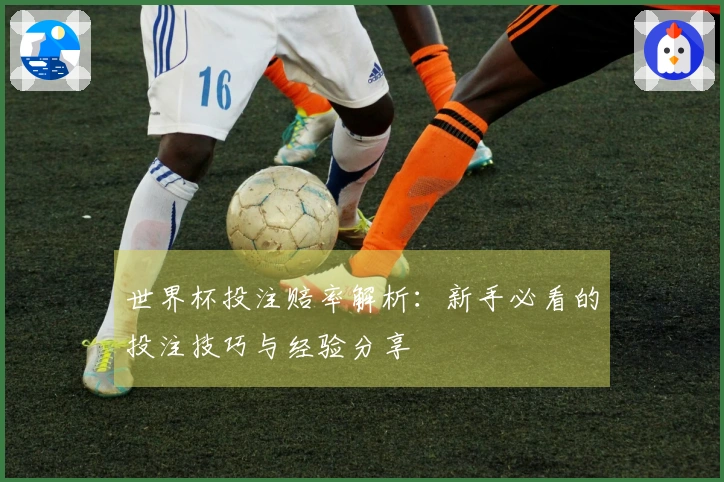世界杯投注赔率解析：新手必看的投注技巧与经验分享